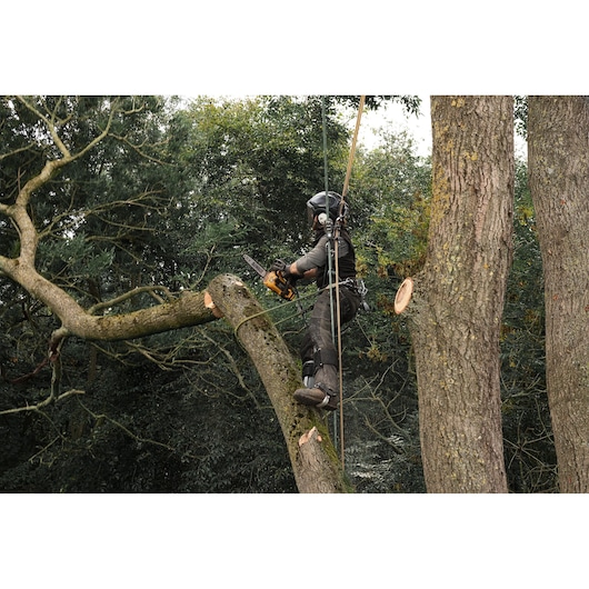 A person wearing protective gear and a helmet uses a DEWALT chainsaw while secured with ropes to cut branches high up in a tree, surrounded by dense foliage.